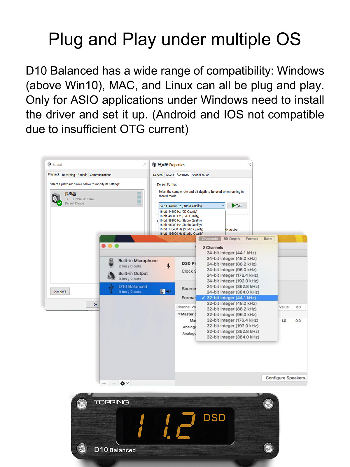 Topping D10 Balanced