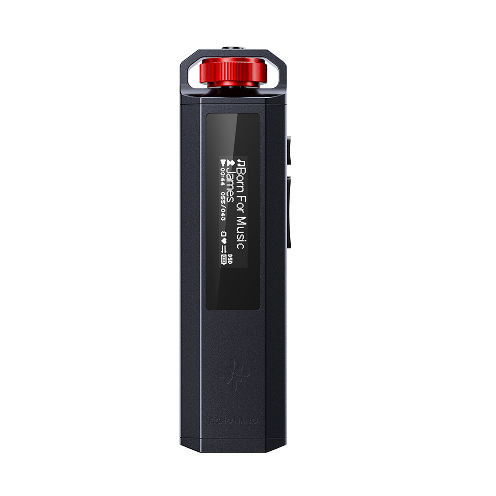 FiiO SnowSky Echo Nano