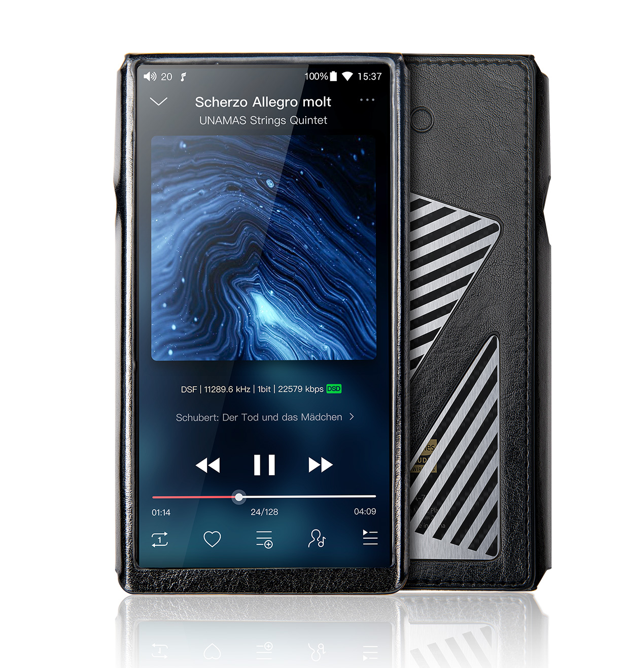 FiiO SK-M11 Pro