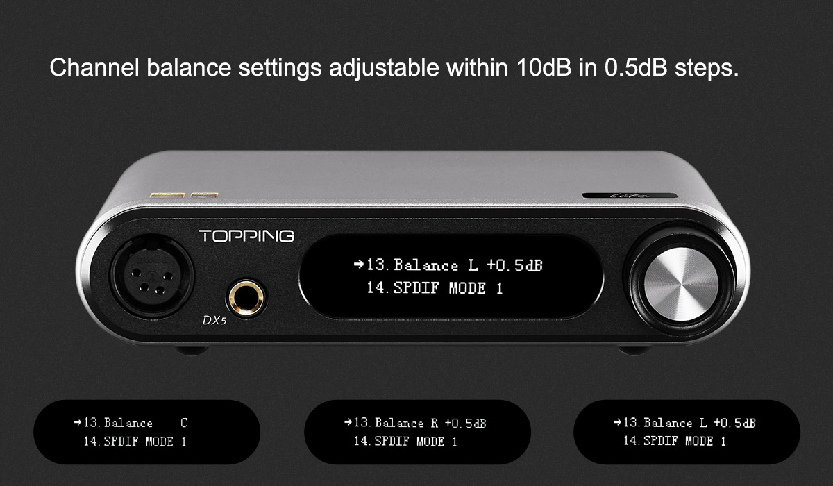 topping_DX5Lite_d